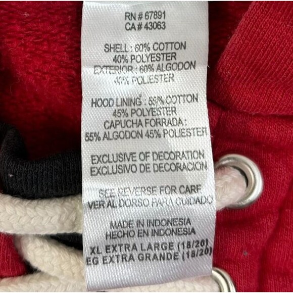 Detroit Red Wings Hockey Hoodie Sweatshirt NHL Youth XL 18-20 Lace Up Pullover - Picture 5 of 8